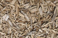 biomass boilers Teeshan