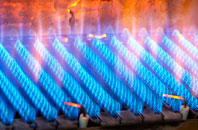 Teeshan gas fired boilers